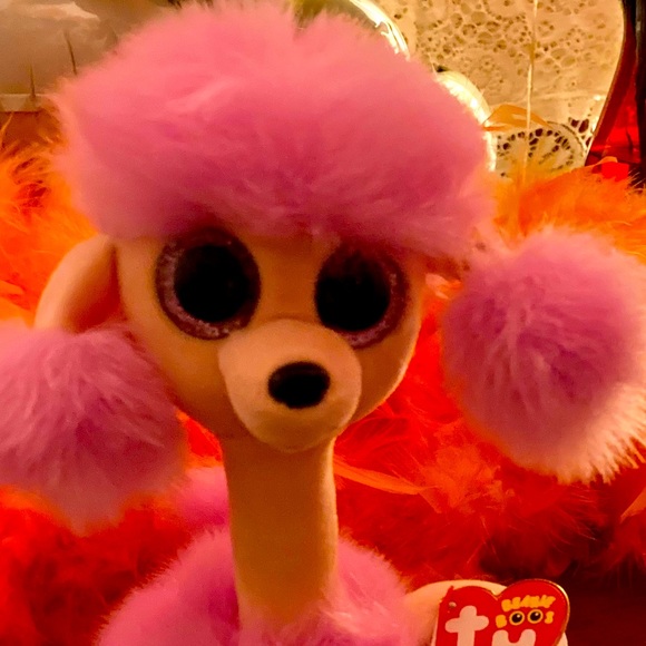 Meet your Posher, Lina - Picture 1 of 1